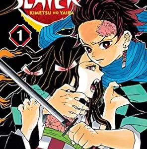 Demon slayer manga volumes